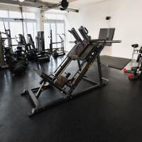 mmexport1740981900772 (3)